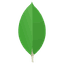 mongodb icon