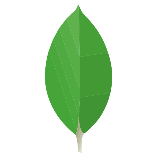 mongoDB_icon